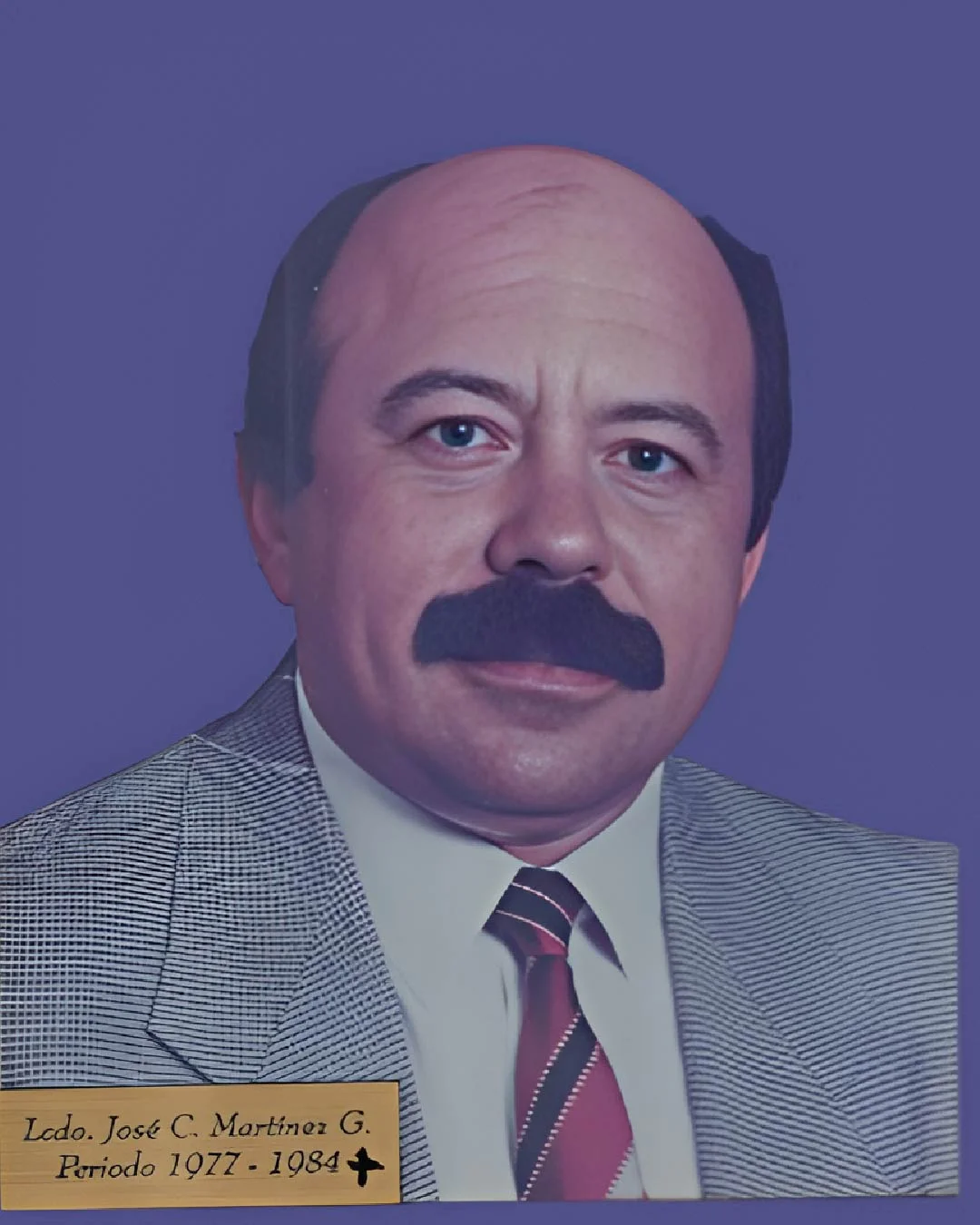 ÓRGANOS, ORGANISMOS Y CÓMITES imagenes jpg 11